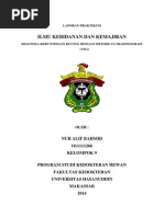 Download USG Kebuntingan Kucingdocx by NurAlifBahmid SN228135015 doc pdf