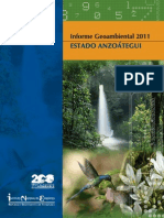 Informe Geoambiental Anzoategui 2011