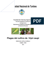 Manual de Plagas de Frijol Caupi 2013