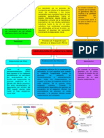 Depuración Plasmática Renal