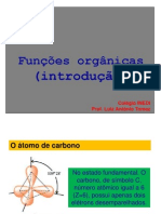 20121205104424 Inedi.funcoes.organicas[1]