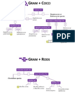 RA2 Worksheet Key