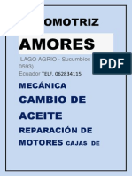 Automotriz Amores