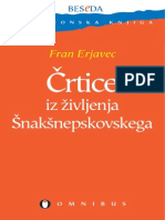 Crtice Iz Zivljenja Snaksnepskovskega - Fran Erjavec