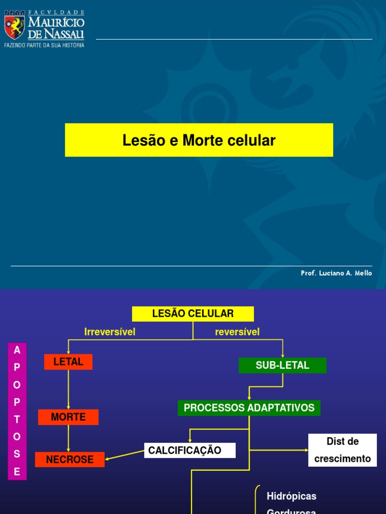 Lesao e Morte Celular Aula 01 Necrose Apoptose