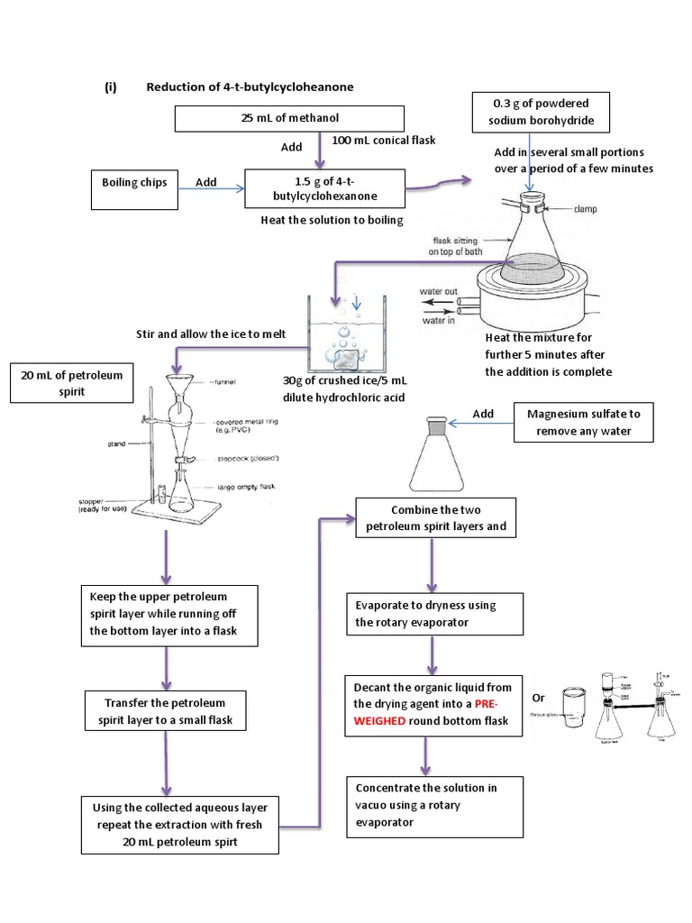 CHEM2054 B9 Flowchart Thin Layer Chromatography Elution Free 30