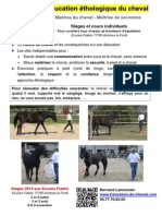 Education du Cheval Ecuries Fidelis