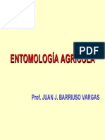 Introduccion entomologia