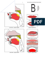 B Articulare