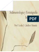 10Sedimentologia y Estratigrafia Introduccion