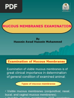 Download Examination of Mucous Membranes by Hussein SN22820225 doc pdf