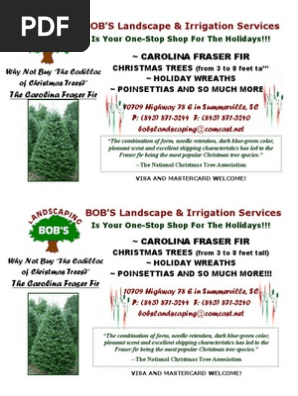 Christmas Tree Flyer