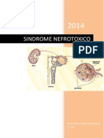 INTRODUCCION Sindrome Nefrotoxico