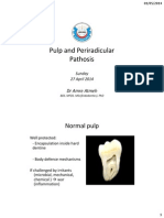 6- Pulp and Periradicular Pathosis