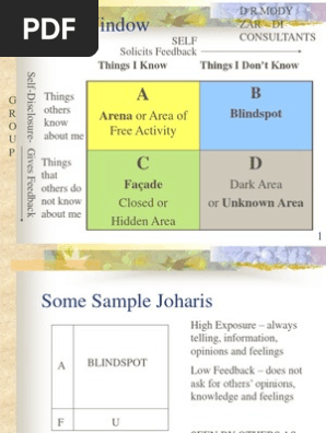 Johari Window