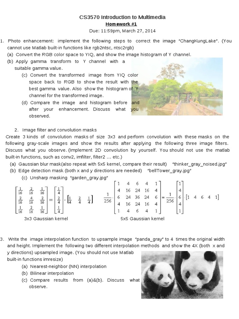 Multimedia Homework: Image Processing Techniques | PDF