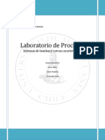 Lab de Procesos 1 - Bombas y Curvas Caracteristicas - Paulina. Javier. Danilo