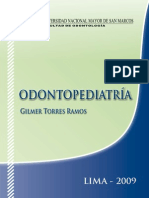 Protocolos de Atencion Odontopediatria UNMSM