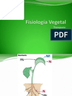 Fisiología Vegetal