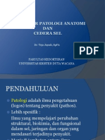 PENGANTAR PATOLOGI ANATOMI