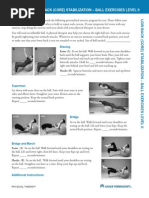 Back Exercises in 15 Minutes A Day - Mayo Clinic | PDF | Medicine ...