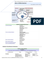 Antibiotic Classification & Mechanism - Basic Science - Orthobullets