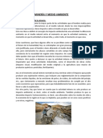 Minería y Medio Ambiente_TRABAJO