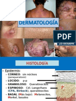 Derma Segunda Vuelta