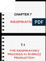 Chapter 7 Resp 29 Julai