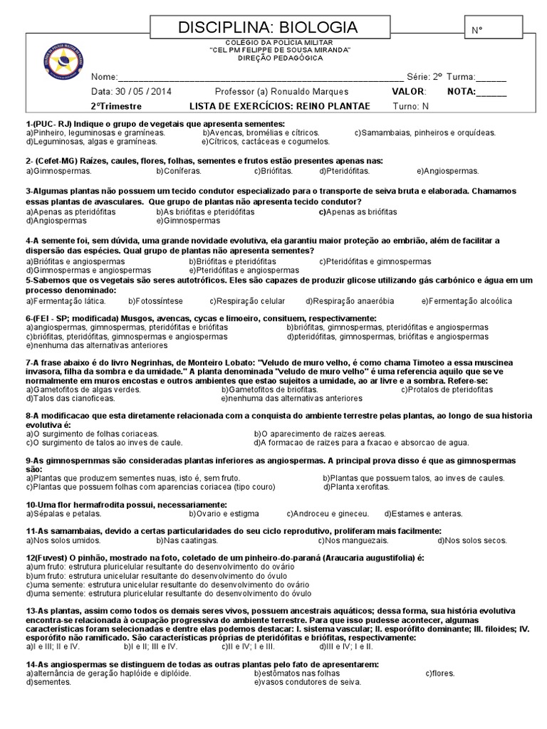 Exercícios sobre o Reino Plantae 7º Ano | PDF | Musgo | Plantas