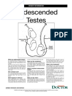 What are undescended testes? (38