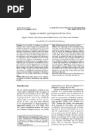 apego adulto y percepcion de los otros (rejilla)