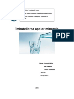 Îmbutelierea Apelor Minerale Final A 2003