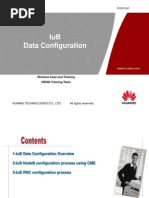 Download IuB Data Configuration by Habib Bale SN228267441 doc pdf