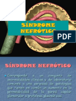 Sindrome Nefrotico