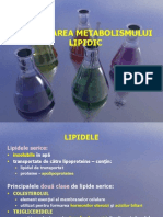 Metabolismul lipidic