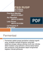 Fermentasi Rusip (DDTHP)