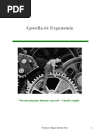 Apostila de Ergonomia 2