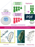 Cell03 Genome