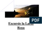 Proiect Lacul Rosu Final