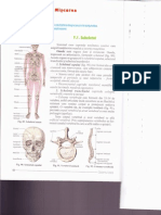 Curs Scheletul Si Muschii Corpului
