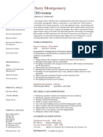 CEO Resume Template