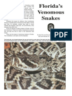 Florida's Venomous Snakes