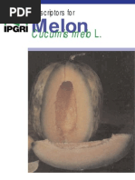 Download Descriptors for Melon Cucumis Melo L 906 by Ioana Matei SN228298796 doc pdf