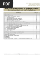 Curso Regular de Direito Do Trabalho Aula 01 Aula 01 Dtrab Principios e Fontes Direitos Const 11975