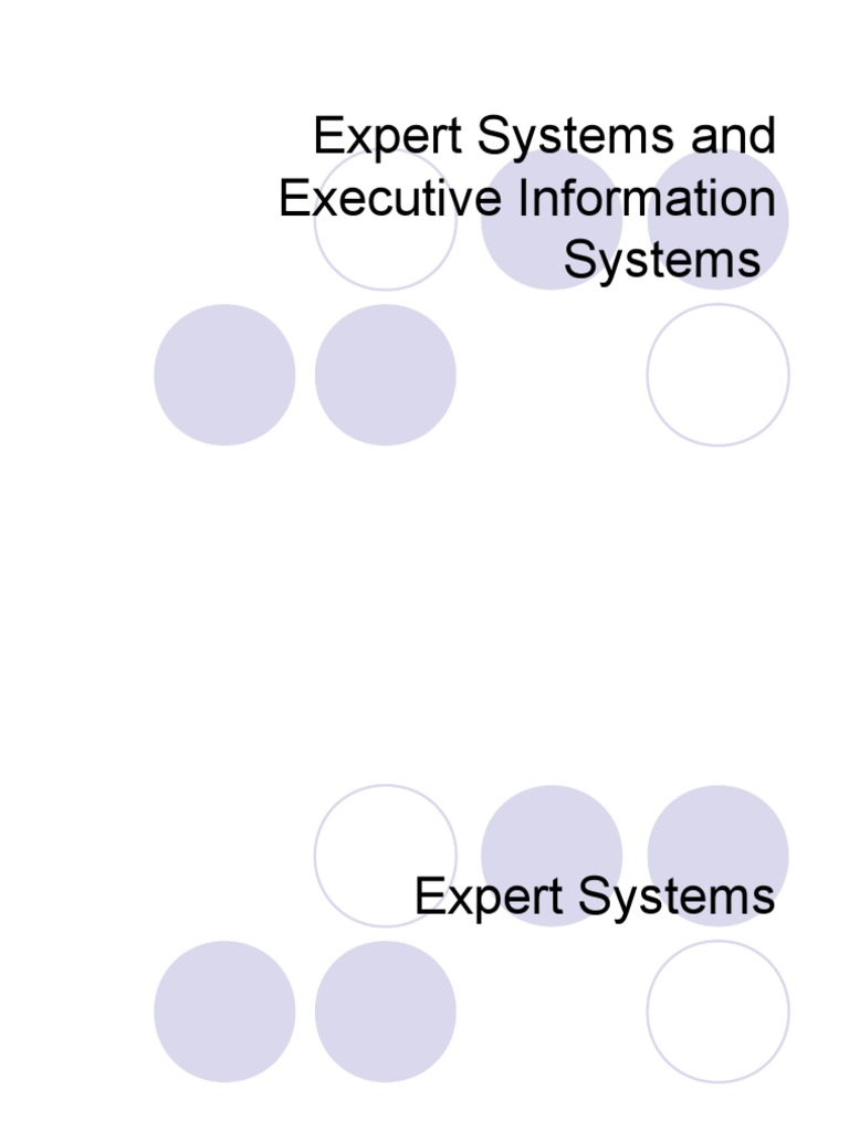 Expert and Executive Information Systems | PDF | Computers