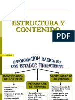 Estructura y Contenido Nic i (1)