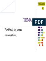 TEMA 21