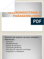 Feocromocitoma y Paraganglioma