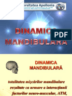 Curs 4 Dinamica Mandibulara